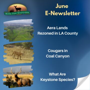 June E-Newsletter