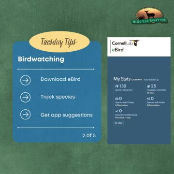 Birdwatching Tips 2 of 5