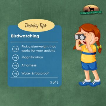 Birdwatching Tips 3 of 5