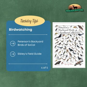 Birdwatching Tips 4 of 5