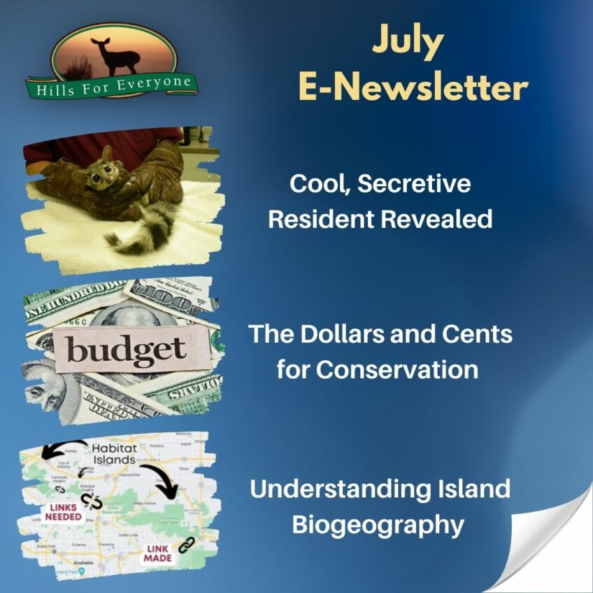 July E-Newsletter