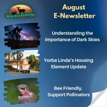 August E-Newsletter