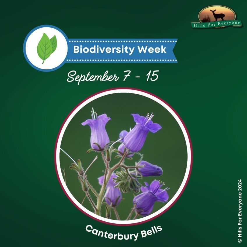 Biodiversity Week