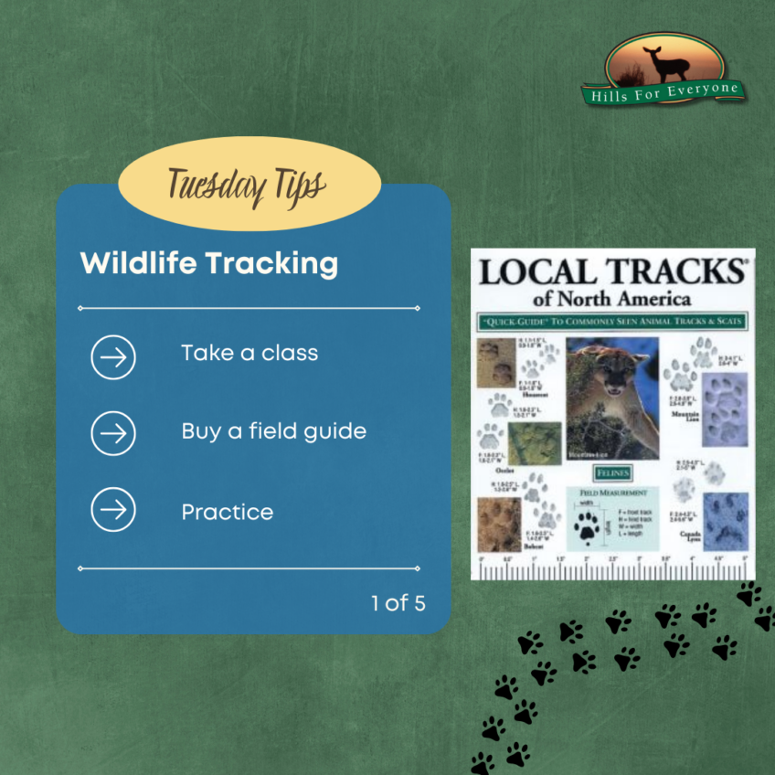 Wildlife Tracking 1 of 5