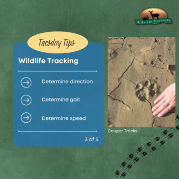 Wildlife Tracking 3 of 5