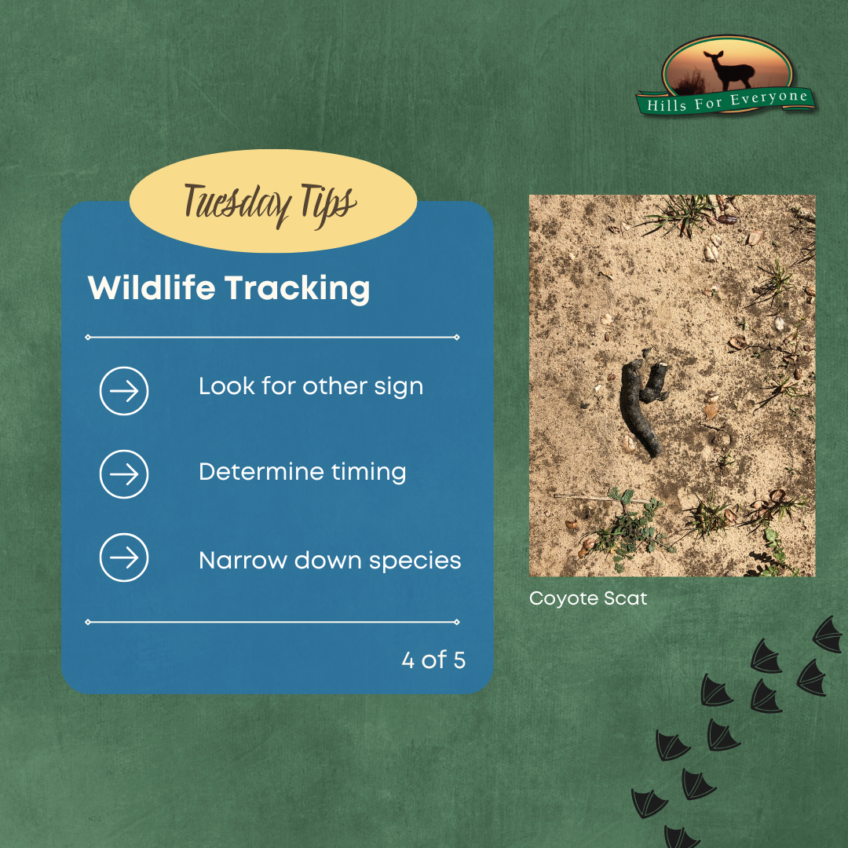 Wildlife Tracking 4 of 5