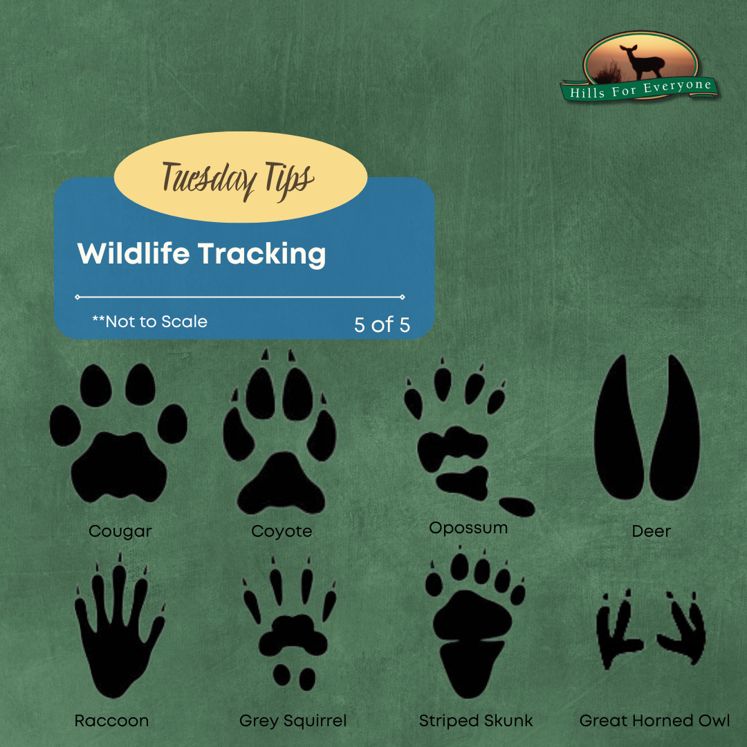 Wildlife Tracking 5 of 5