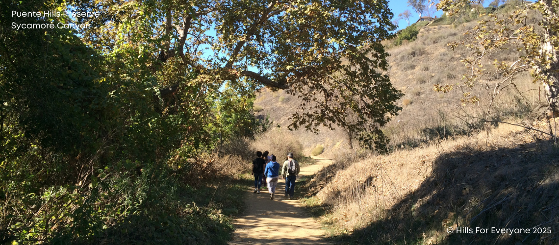 Hikers