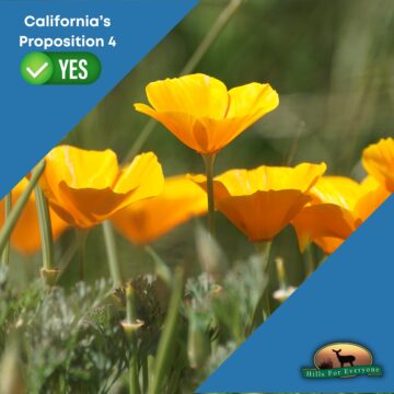 Yes on Prop 4