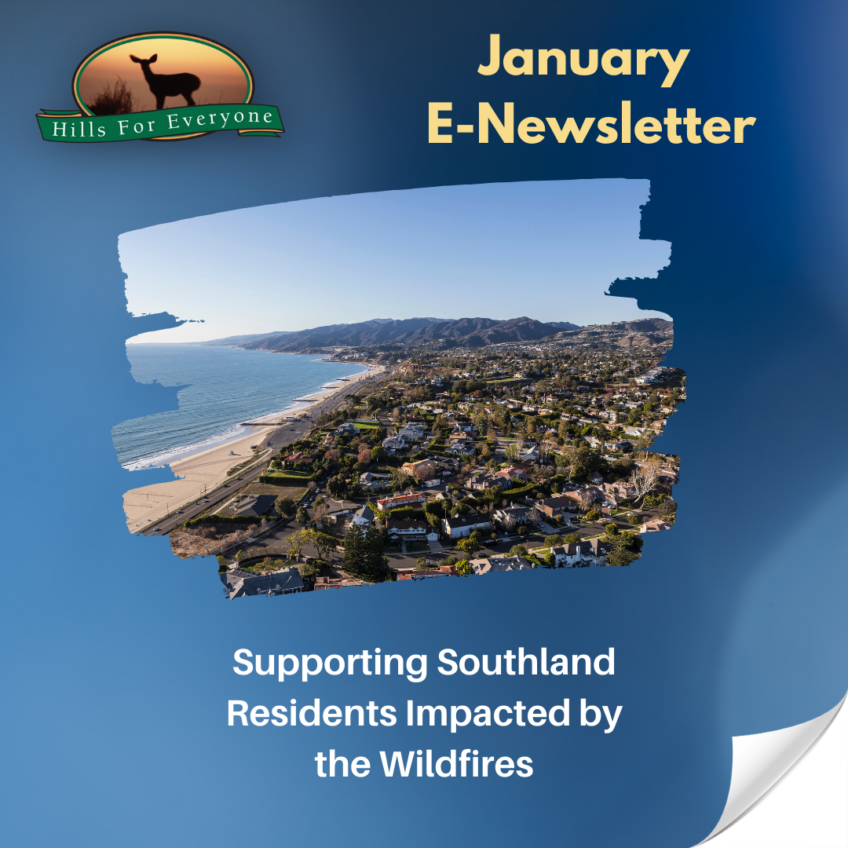 January 2025 E-Newsletter