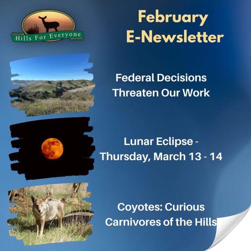 February E-Newsletter